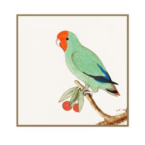 Christmas in July Bird | Urban Garden Prints