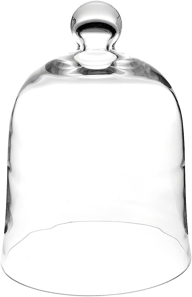 Plymor 10" x 13" Bell Jar Glass Display Dome Cloche (Interior size 9.5" x 10.5") | Amazon (US)