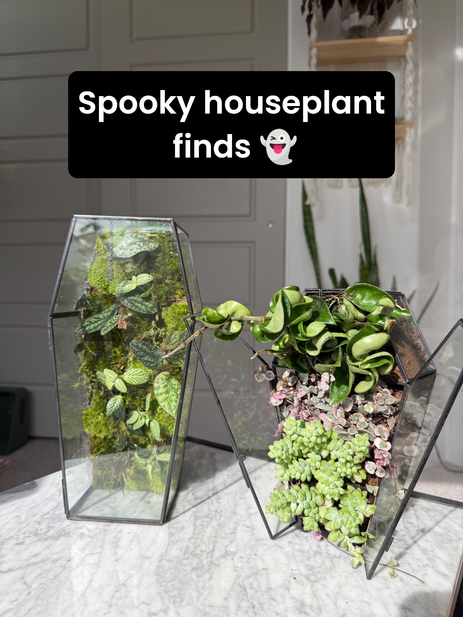 #LTKHome #LTKSeasonal