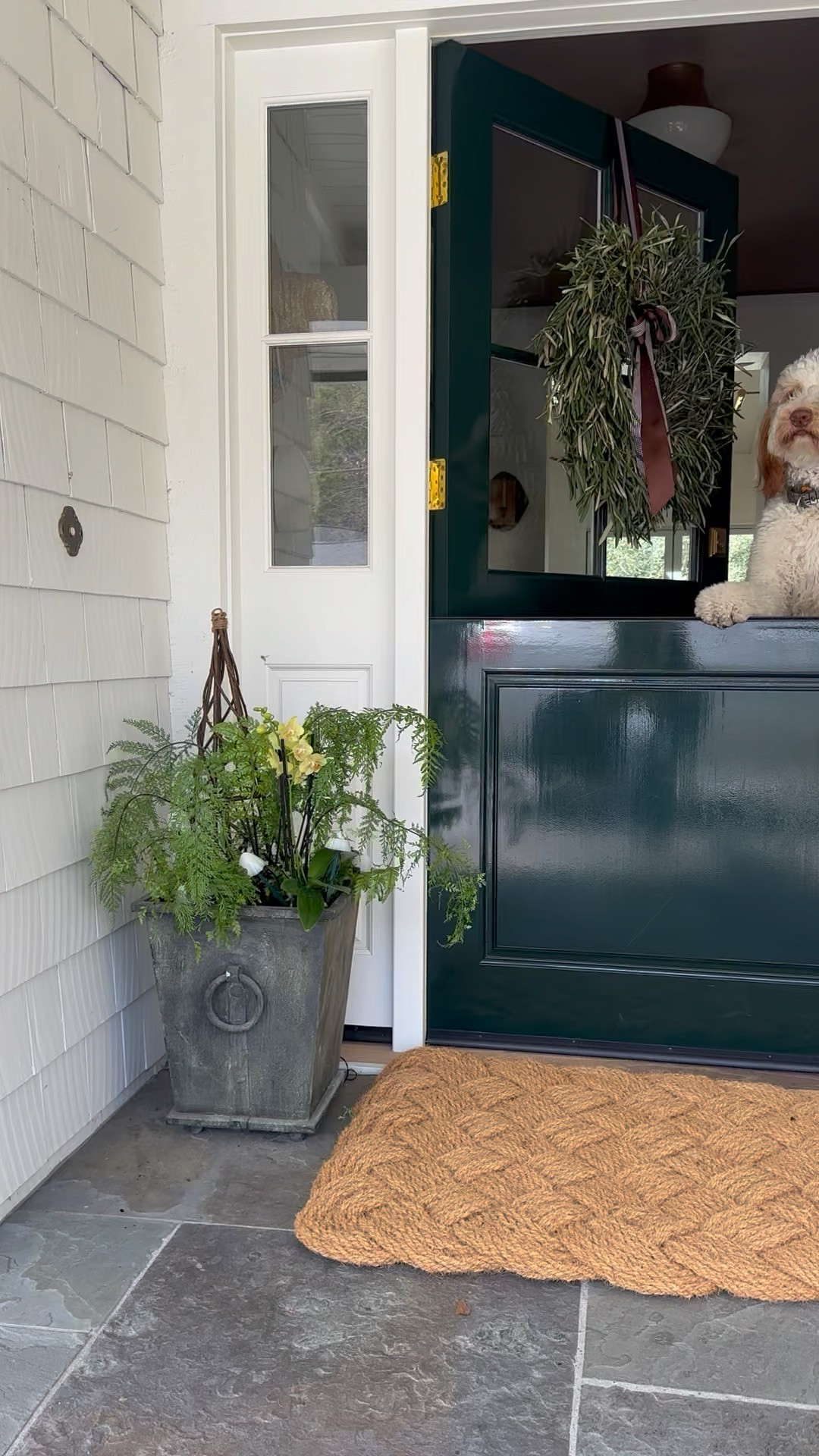Use code ASHLEY15 for 15% off! 
Spring Porch refresh with @shopterrain. These mushroom lights are solar powered and a favorite! 

 

#LTKSeasonal