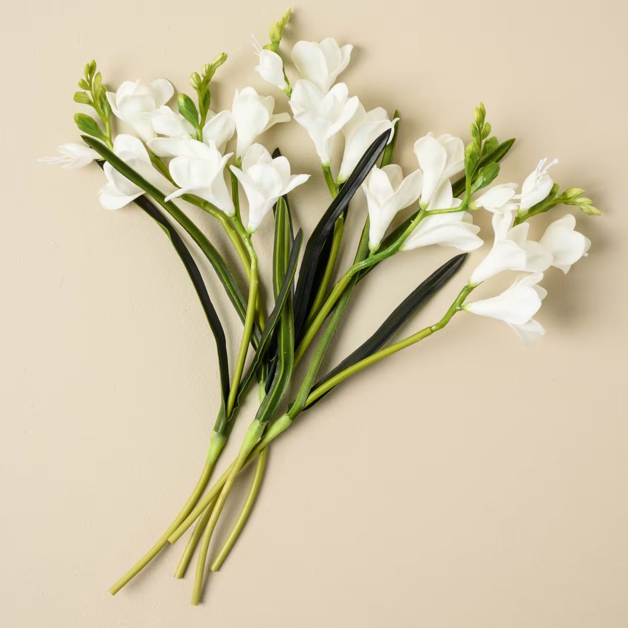 Freesia Bundle | Magnolia