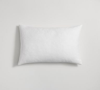 Aila Embroidered Pillow | Pottery Barn (US)