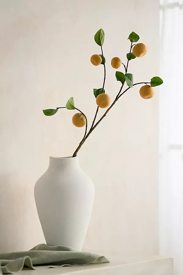 Faux Orange Spray | Anthropologie (US)