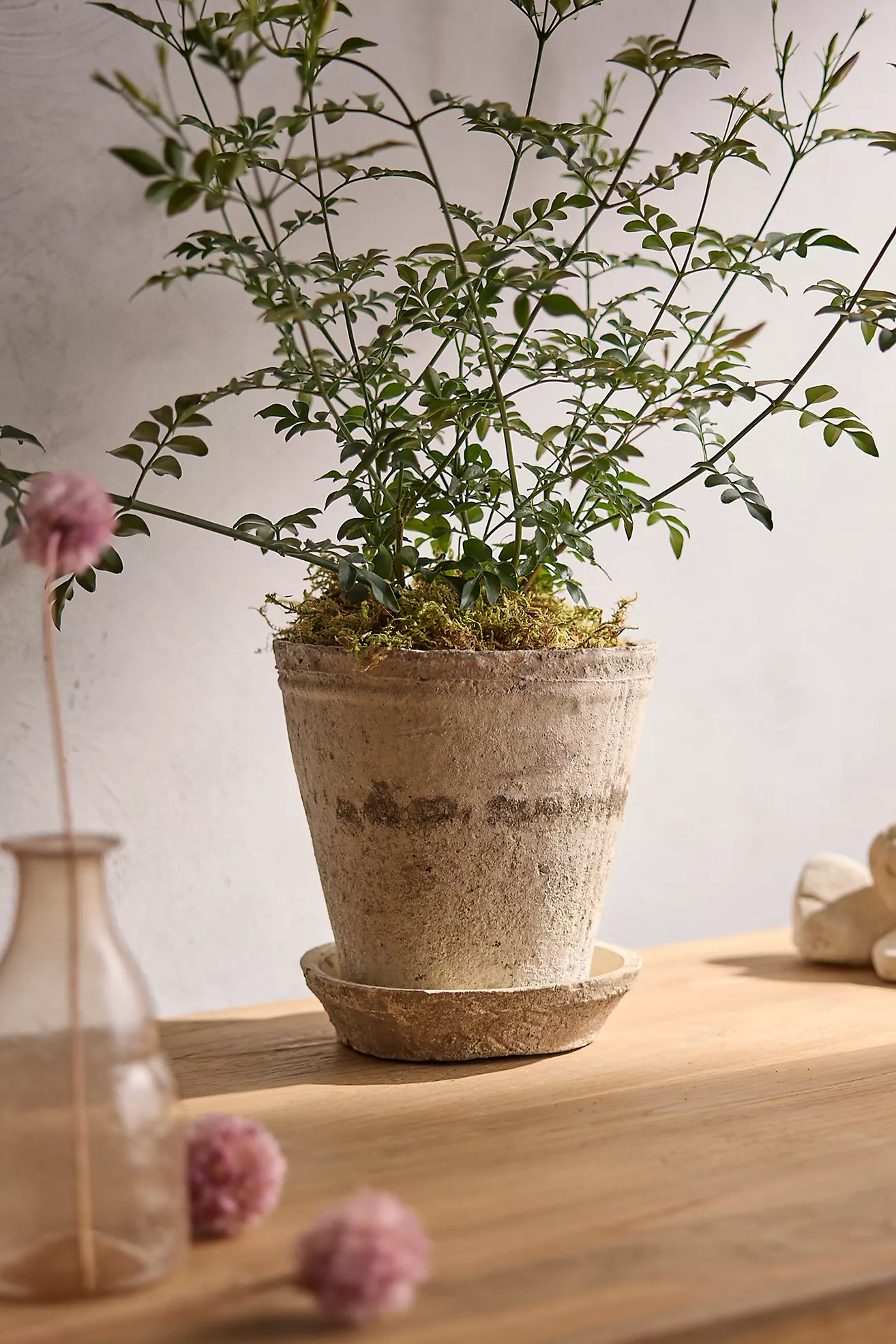 Earth Fired Clay Ridge Top Pot + Saucer Set | Anthropologie (US)