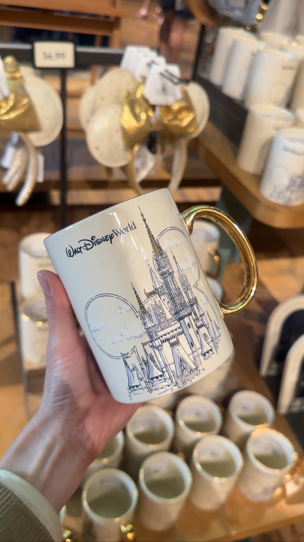The prettiest castle collection 

Disney | Walt Disney world | Disneyland 

#LTKHome #LTKgrwm #LTKdayinmylife