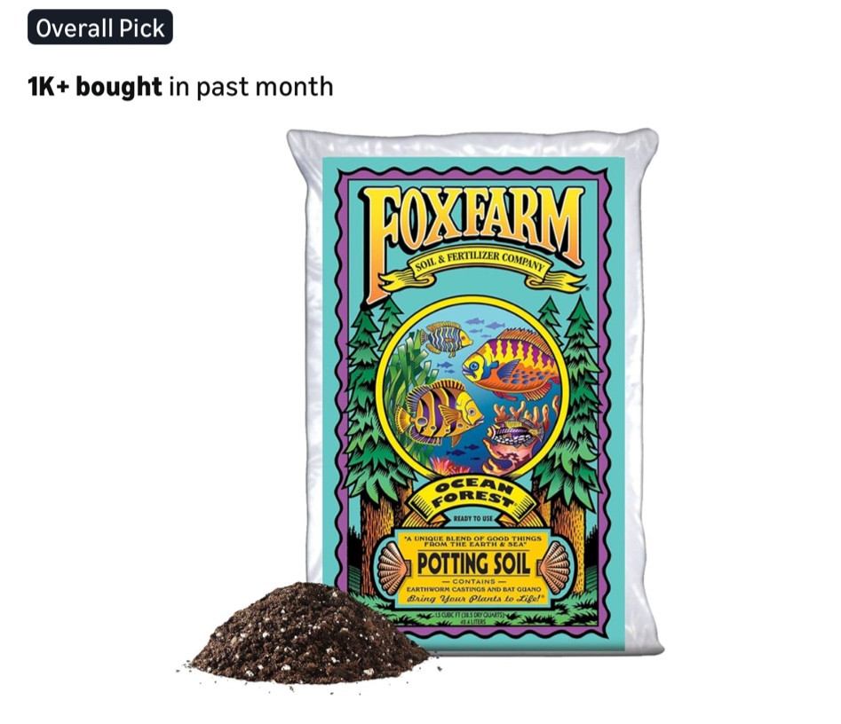 Time to start your seeds!! I’ve linked our seed starting favorites! 👩🏼‍🌾🌱💕🌷

#LTKHome