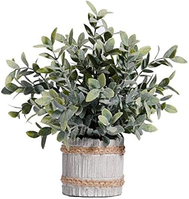 MIAIU Small Potted Artificial Plants Plastic Fake Greenery Topiary Shrubs for Home Office Farmhou... | Amazon (US)