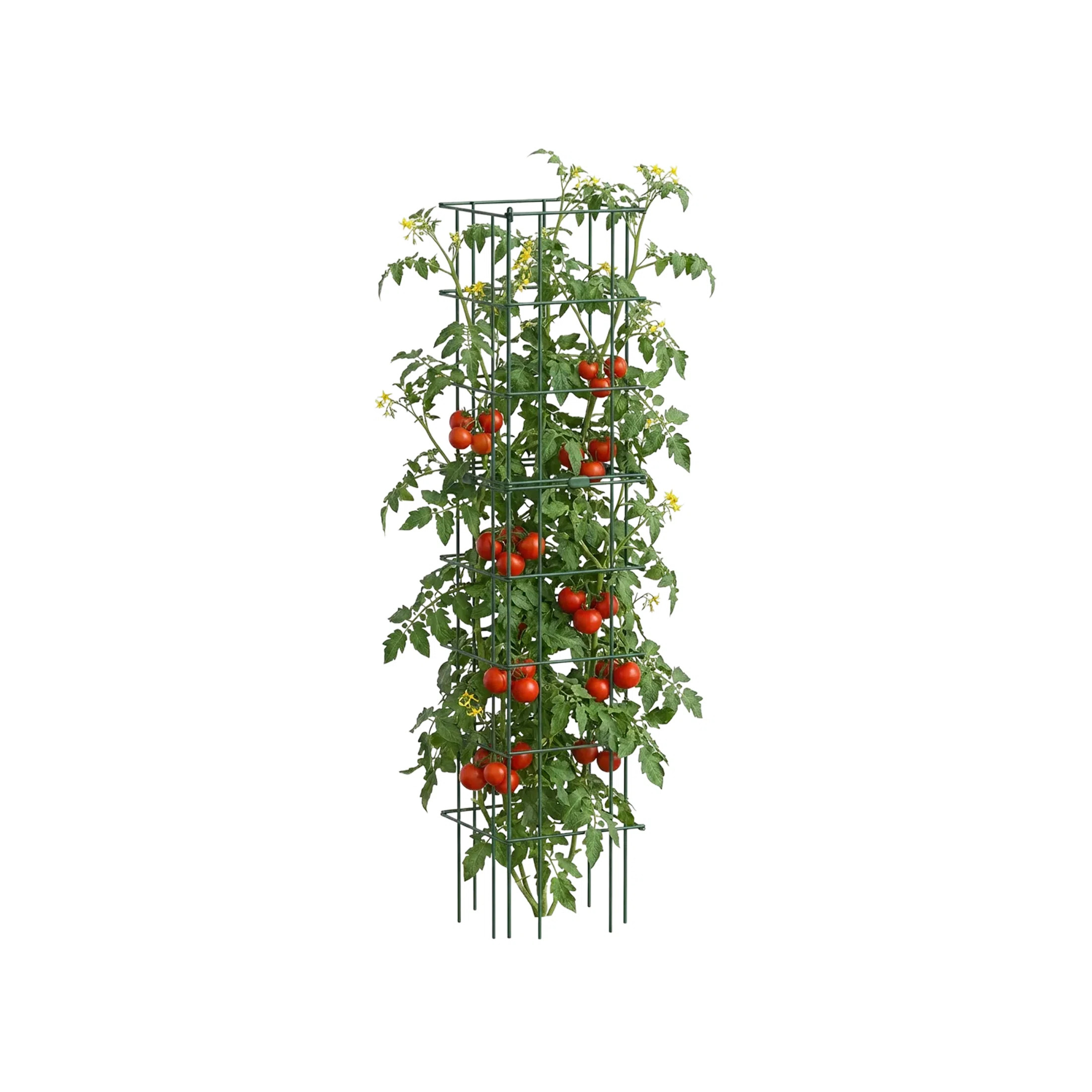 16.5" Square Garden Tomato Cage | Wayfair North America