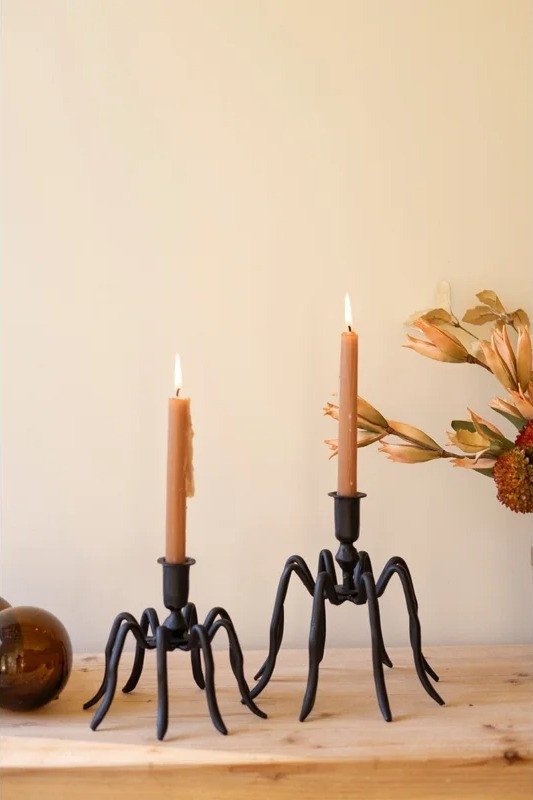 This might be one of my favorite Halloween home sales right now 🎃 Birch Lane has pieces up to 60% off for Labor Day, and there’s such a cute mix of spooky + cozy decor for every little corner of the house.

#BirchLaneSale #LaborDaySale2026 #HalloweenDecor2026 #HalloweenHome #FallHomeDecor #SpookyDecor #PorchDecor #HalloweenWreath #GarlandDecor #PumpkinDecor #TabletopDecor #GhostDecor #HalloweenPillows #HalloweenWallArt #CozyFallDecor 

 #LTKSeasonal #LTKHome #LTKSaleAlert