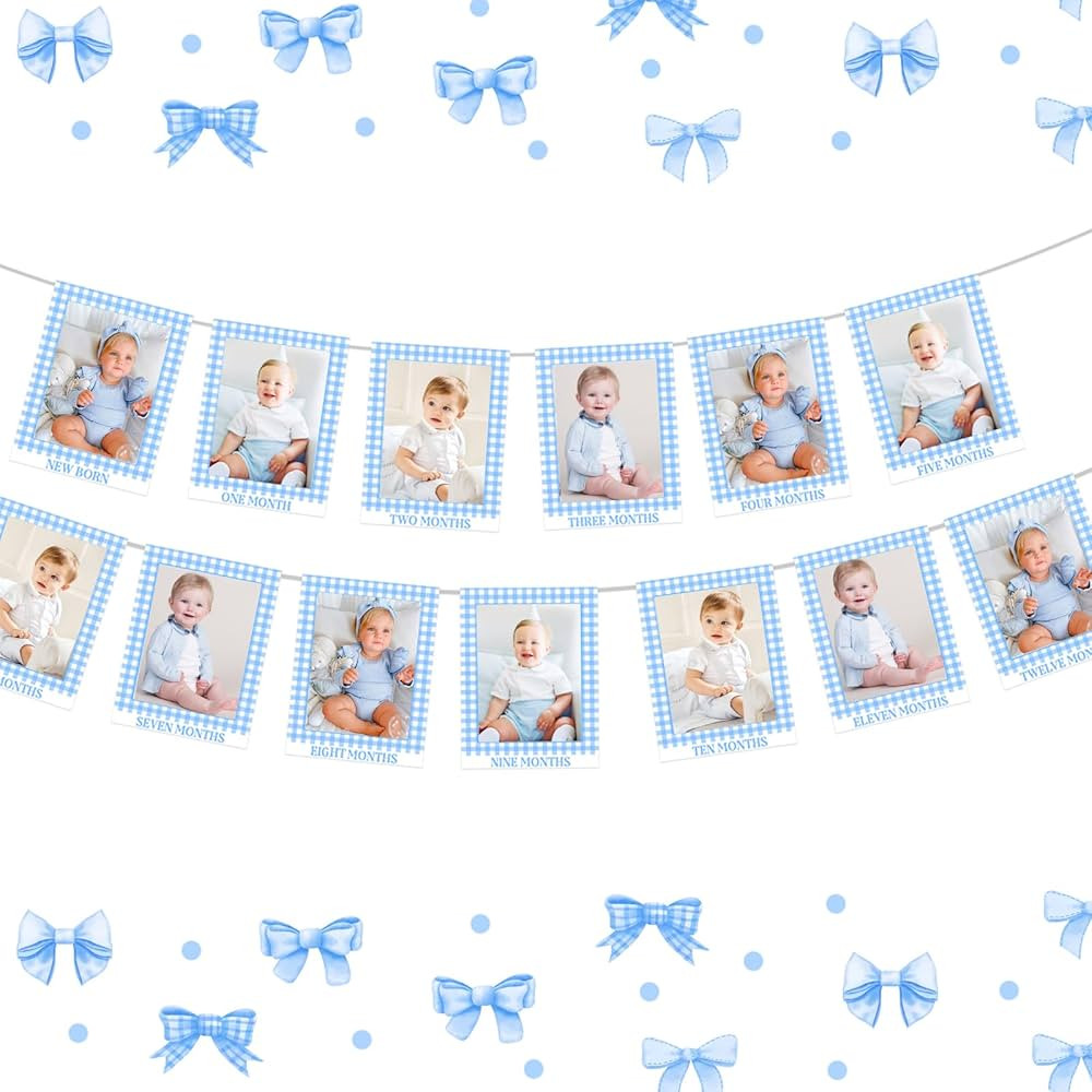 Gingham Photo Banner - 1st Birthday Baby Milestone Cards - Blue Checkered - Boy or Girl | Amazon (US)
