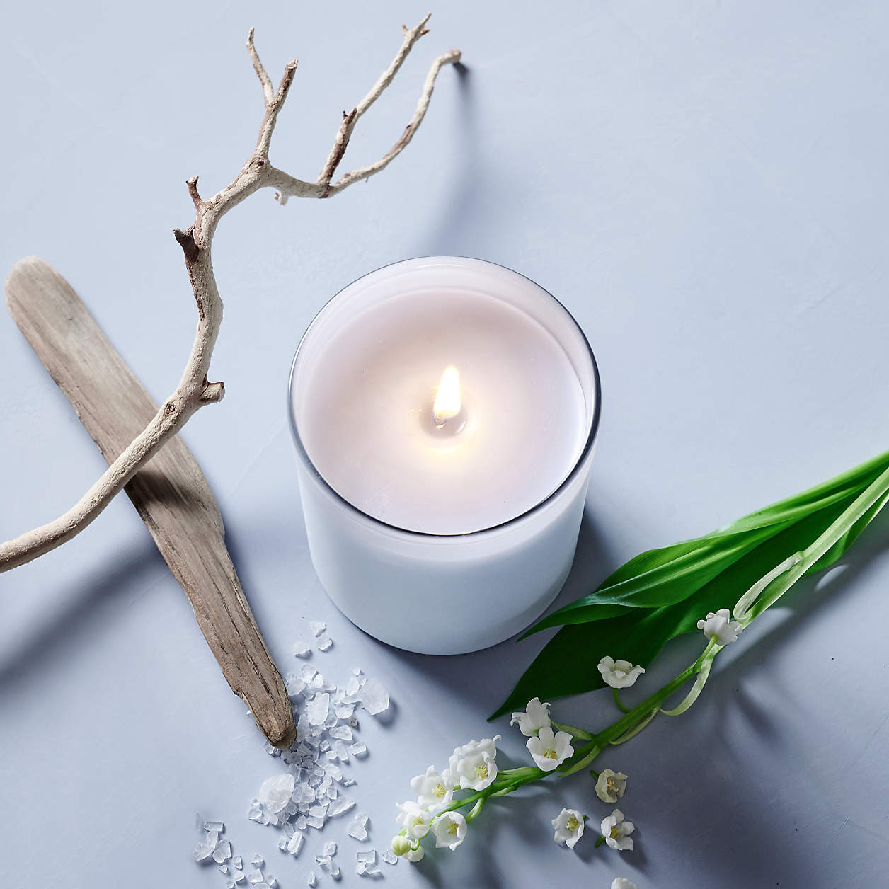 Monochrome No. 03 Evergreen 1-Wick Scented Candle - Eucalyptus, Balsam and Winterberry + Reviews ... | Crate & Barrel