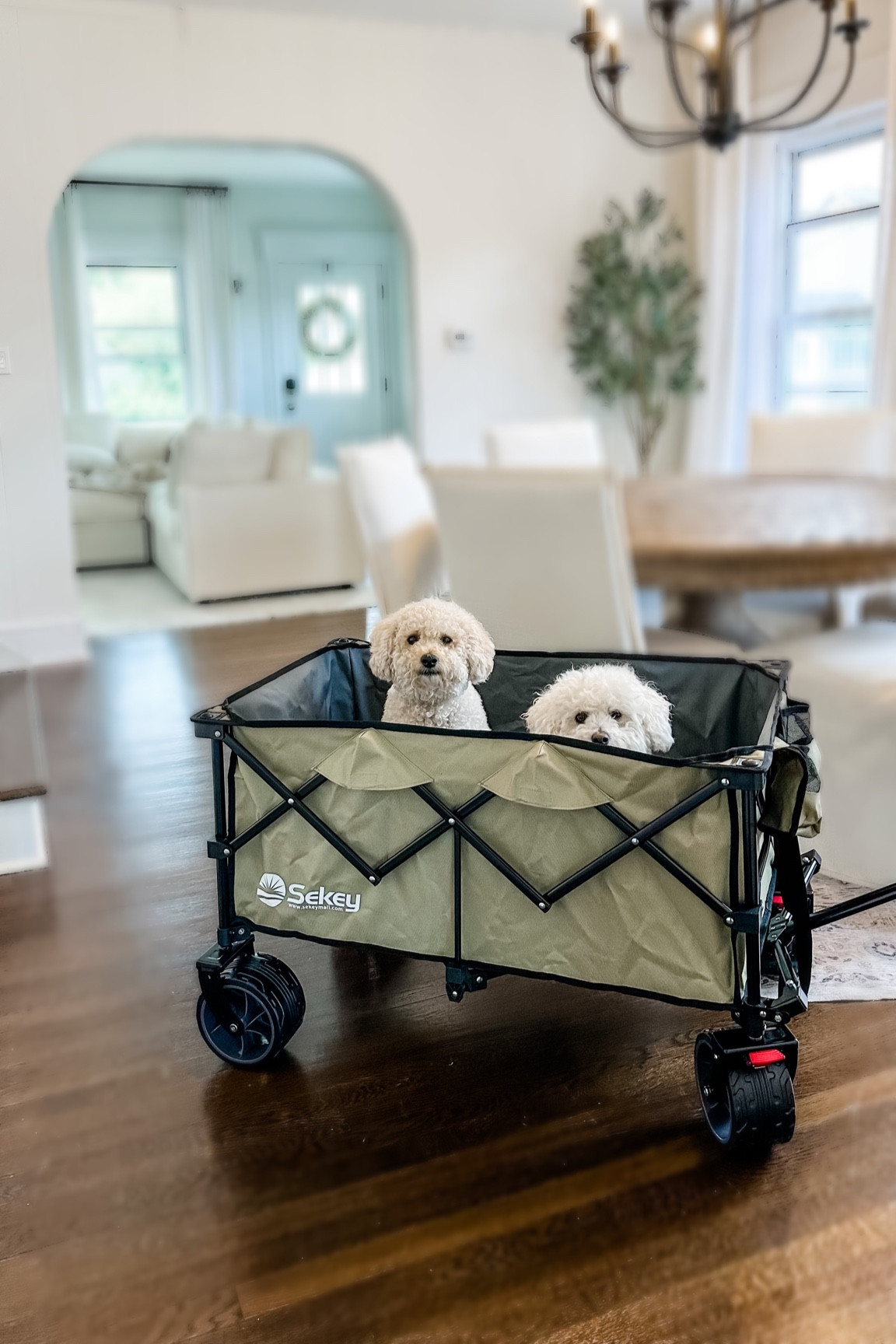 The best beach wagon! Can hold multiple doodles 😜 or help you lug all of your beach essentials 

#LTKhome