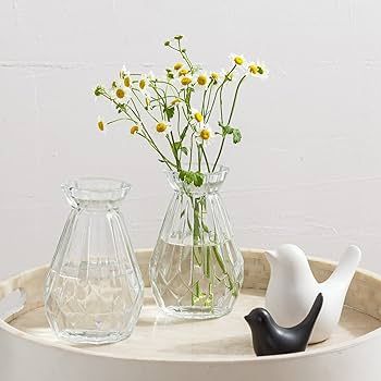 MyGift Small Glass Bud Vase, 5 Inch Decorative Flower Vases, Mini Vintage Style Centerpiece Vases... | Amazon (US)