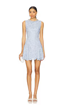 Flower Lace Mini Dress
                    
                    self-portrait | Revolve Clothing (Global)
