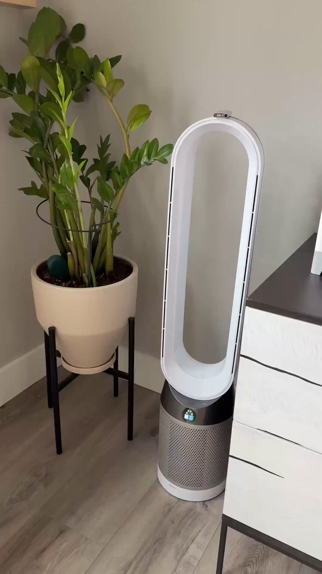A must have in our house with pets and kiddos. Air purifier and fan in one!

#LTKHome #LTKdayinmylife #LTKmomlife