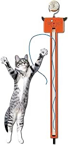 Moody Pet Fling-AMA-String Cat Toy | Amazon (US)