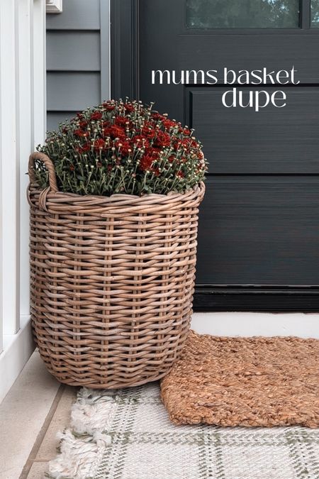 I’ve been on the hunt for a similar mums basket since mine was only available in store (and on display)- and found this great dupe - a set of 2 baskets on sale for 60$ !!!. It’s a pretty woven wood color and the handles are just as divine. My basket is 14x16 and the large one here is 12x14 so very close and should fit a standard size mum 🌸 I ordered it and will share/style to show you once it arrives this week ! 

#LTKhome #LTKSeasonal