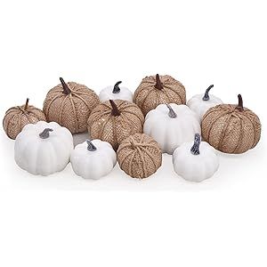 Bunny Chorus Artificial White Pumpkins and Burlap Pumpkins 12 Pcs in Different Sizes, for Fall Th... | Amazon (US)