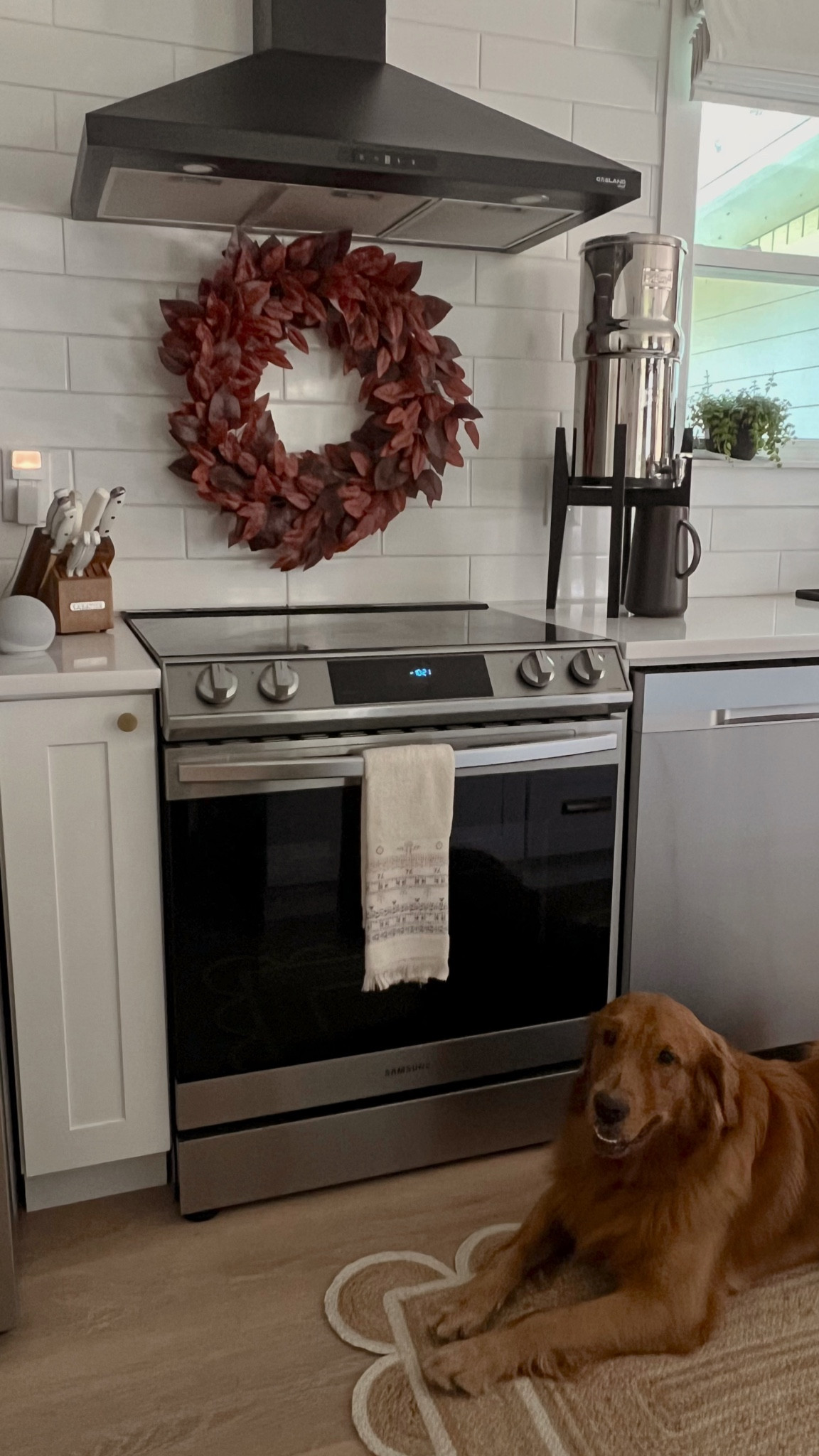 Target fall home finds

#targetstyle 

#LTKSeasonal #LTKhome #LTKfindsunder50