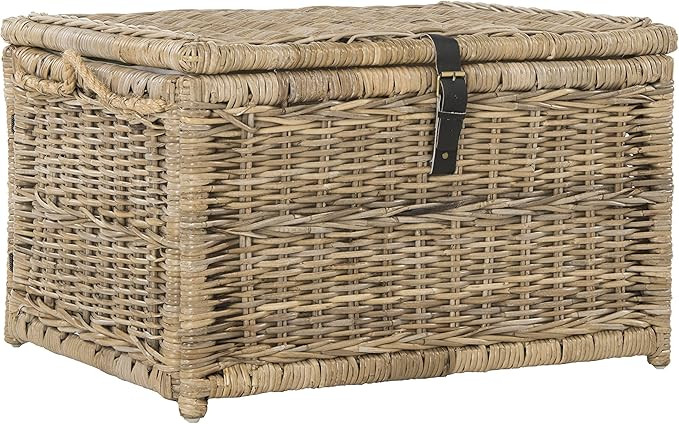happimess HPM9001C Caden 30" Wicker Storage Trunk, Collapsible for flat storage, Rattan-Kubusoft ... | Amazon (US)