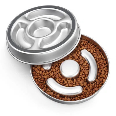 Slow Feeder Dog Bowl Stainless Steel, 2 Cups Metal Non-Slip Dog Food Bowls, Dogs Water Bowl For Small & Medium Sized Dogs, Fun Bloat Stop Pet Bowl | Wayfair North America