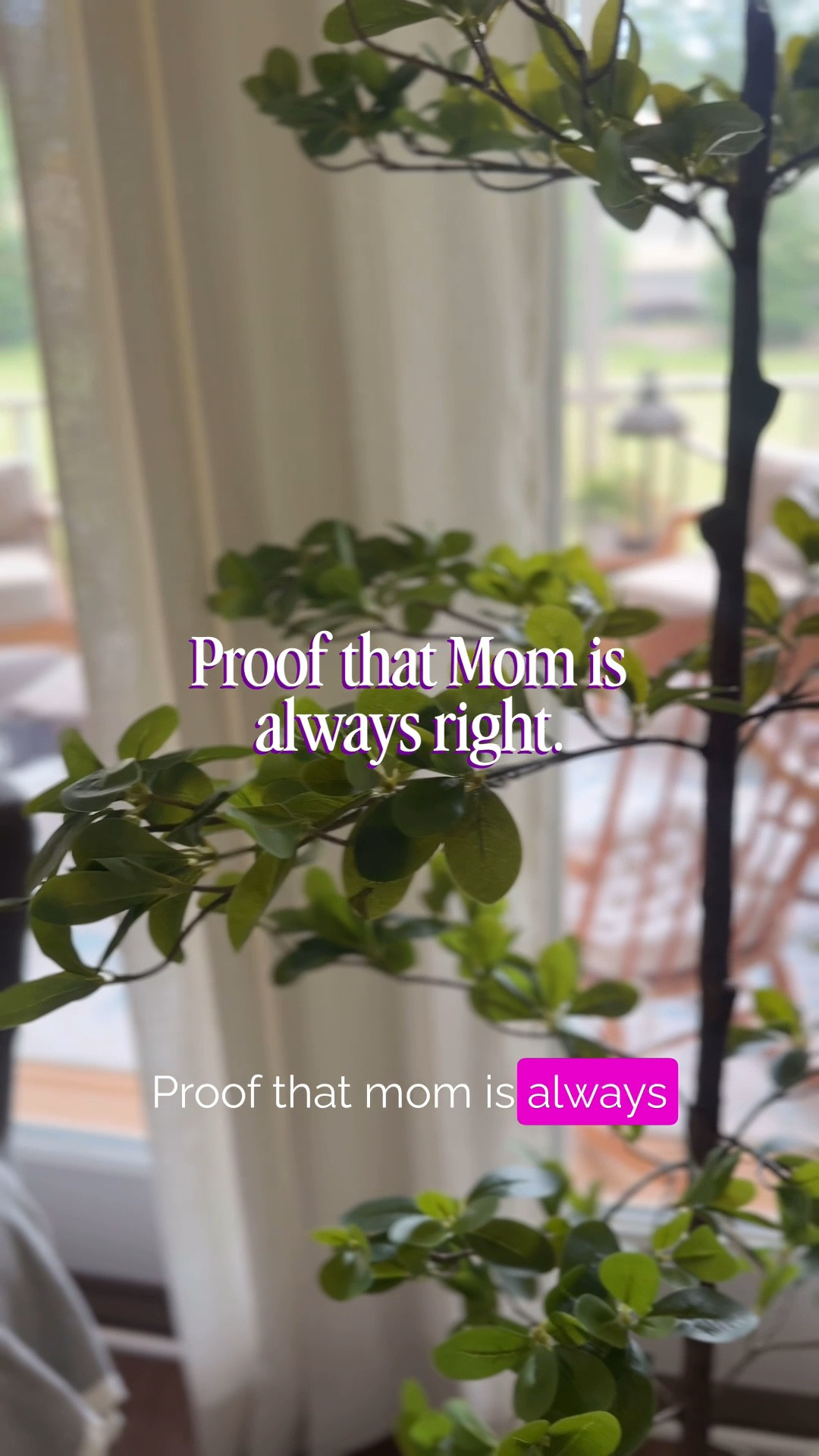 POV: my mom suffers from Amazon trigger finger and Prime Day just gave her better aim 😆
She surprised me with the Shady Lady 6ft faux black olive tree I've had saved (and recommended) for months — proof that mom is always right.
After unboxing it, I can say it actually looks exactly like the pictures... which is awesome because the price + look were why I recommended it to begin with. Realistic trunk, full, bright leaves on manicured branches you can fluff, and it instantly filled my corner with life and greenery. It's the tall artificial olive tree every home needs right now-coming in various heights. 
I'm NOT keeping the black base it comes with though — stay tuned because I'm upcycling a Walmart planter to make it look high-end. Follow along for part 2!
Shop this exact Shady Lady faux tree + my favorite planter styles for it below. 

#feelead #AmazonPrimeDayFinds #FauxOliveTree #ShadyLadyTree #LivingRoomDecor #bedroomdecor

#LTKHome