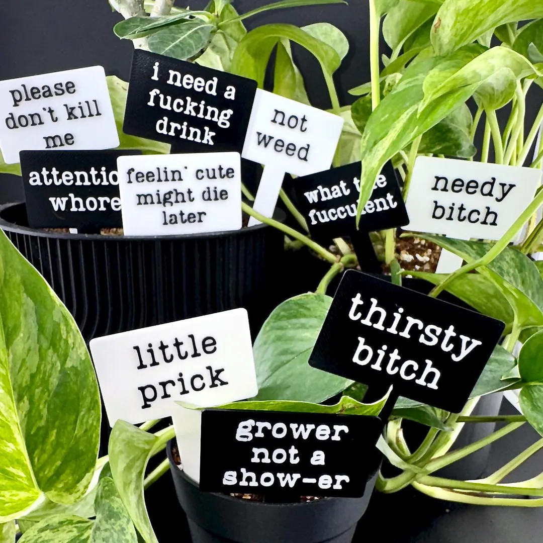 Funny Plant Stakes Set: Sassy Explicit Humor, Black or White - Etsy | Etsy (US)
