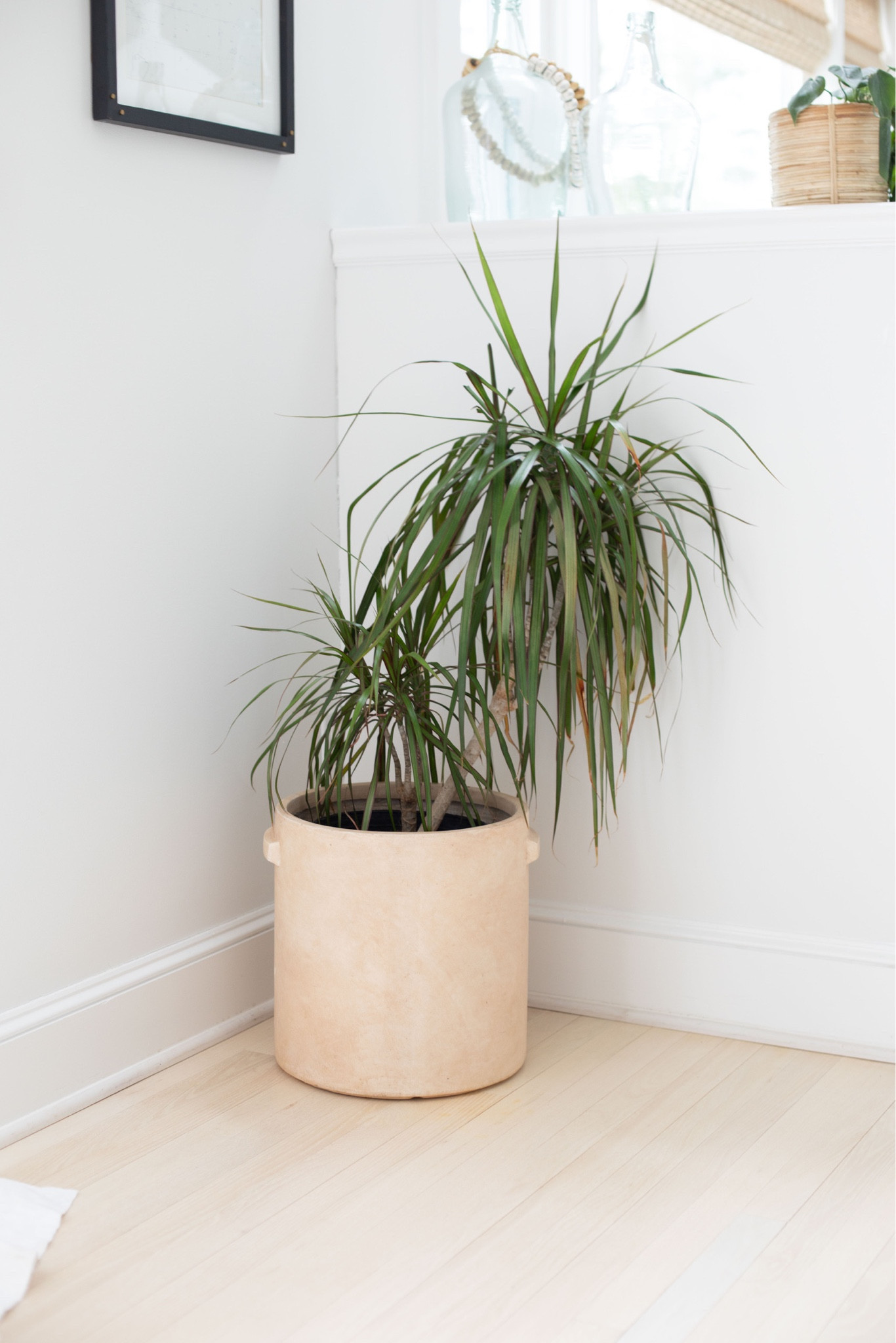 #LTKhome #LTKsalealert #LTKFind