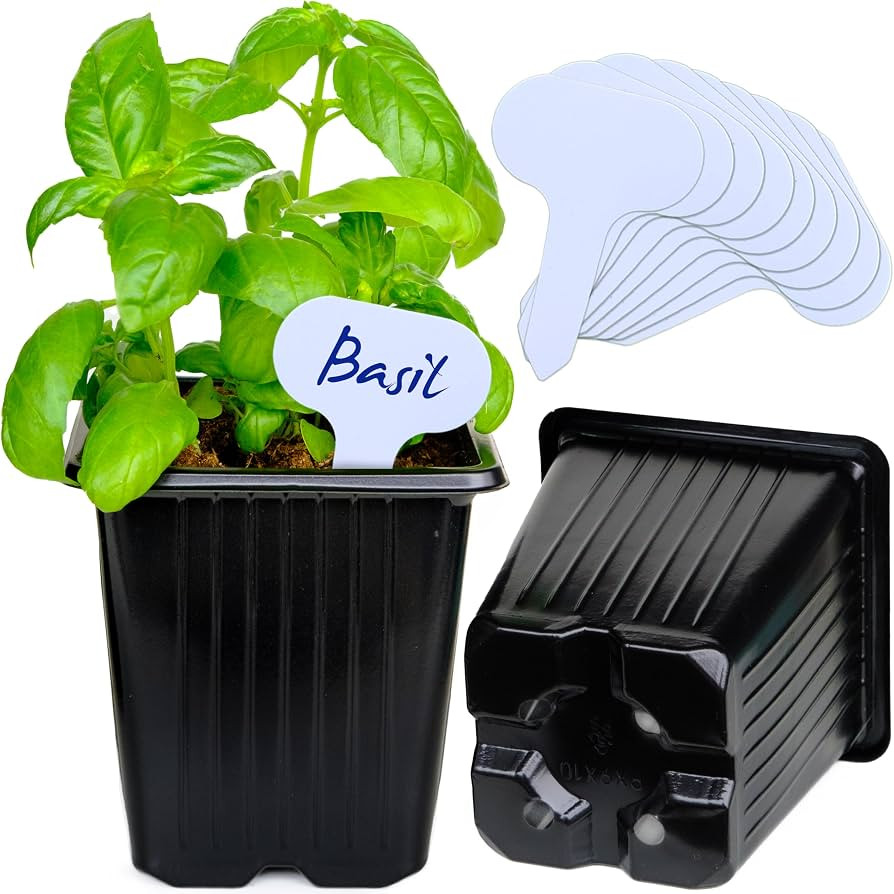 CARPATHEN 60Pack Square Nursery Pots - 3.8 Inch Nursery Pots for Plants with Drainage - Reusable ... | Amazon (US)