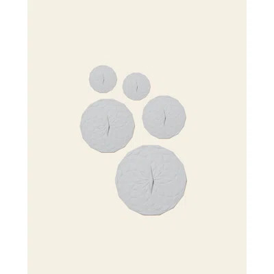 Round Suction Lid 5 pack | Wayfair Professional