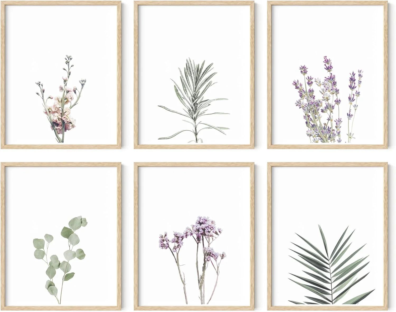 HAUS AND HUES Floral Prints and Plant Posters - Set of 6 Botanical Prints Set and Floral Wall Art... | Walmart (US)