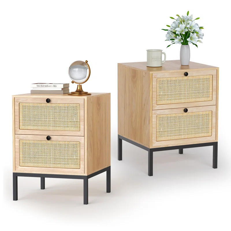 Boho Natural Rattan 2-Drawer Nightstand (Set of 2) | Wayfair North America