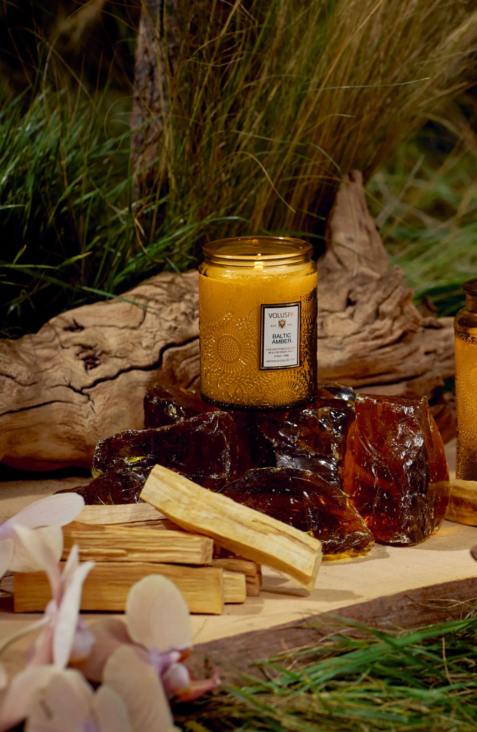 Baltic Amber Small Jar Candle | Nordstrom