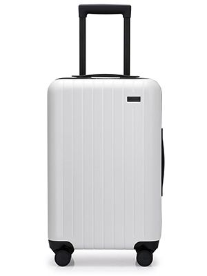 GoPenguin Luggage, Carry On Luggage with Spinner Wheels, Hardshell Suitcase for Travel with Built... | Amazon (US)