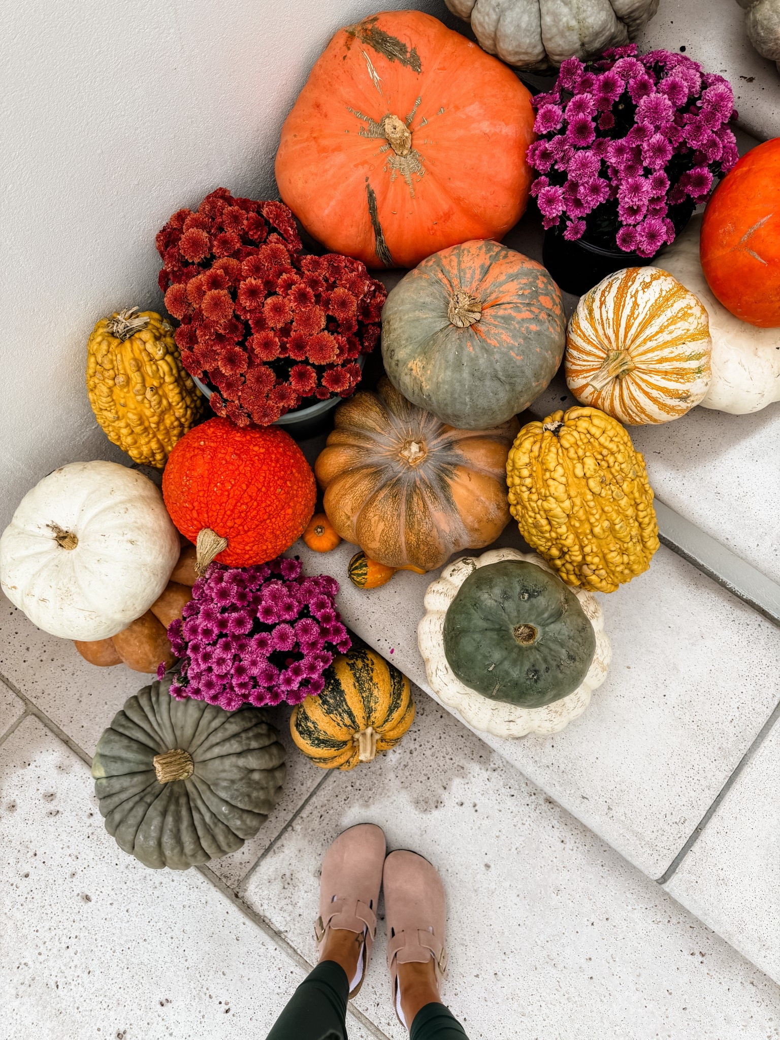 Pink Birkenstock clogs go really well with pumpkins! 