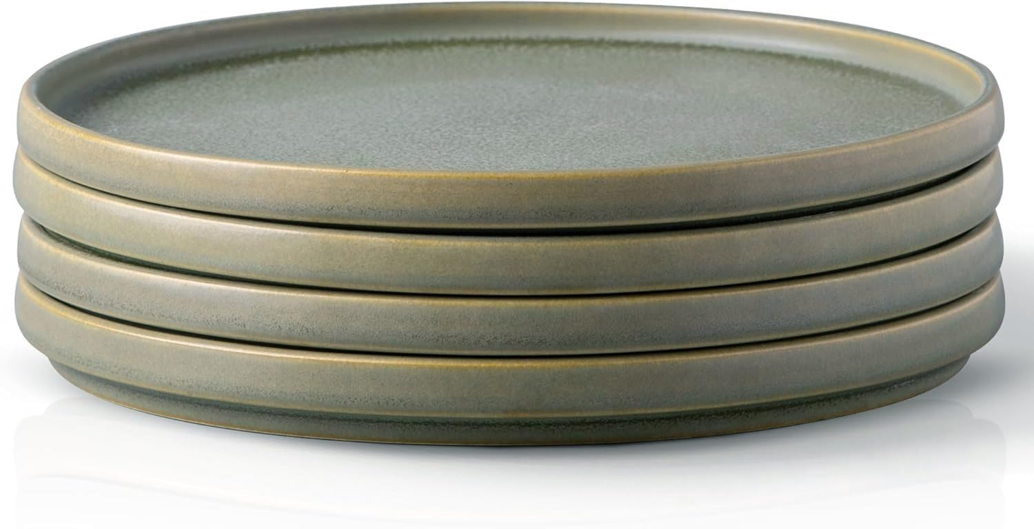 AmorArc Stoneware Dinner Plates Set of 4, 10.5 Inch Reactive Matte Glaze Ceramic Plates Set, Mode... | Amazon (CA)