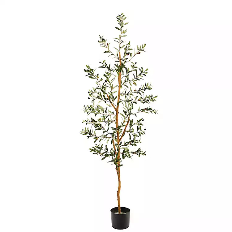 Mediterranean Olive Tree in Black Planter, 70 in. | Kirkland's Home