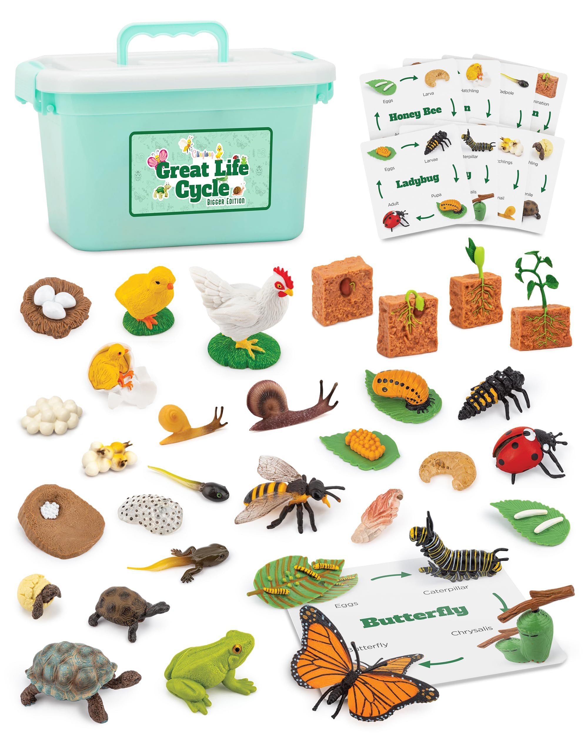 Life Cycle Animal Kit - 32 Piece Montessori Science Toy with Frog, Ladybug, Butterfly, Bee, Chick... | Amazon (US)