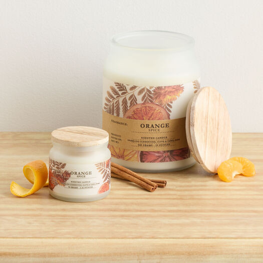Winter Woodland Orange Spice Scented Candle by World Market | World Market