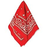 Classic Red Paisley Bandana - 20" x 20" (1 Count) - Perfect for Outdoor Activities, Fashion Accessory, and DIY Projects | Amazon (US)