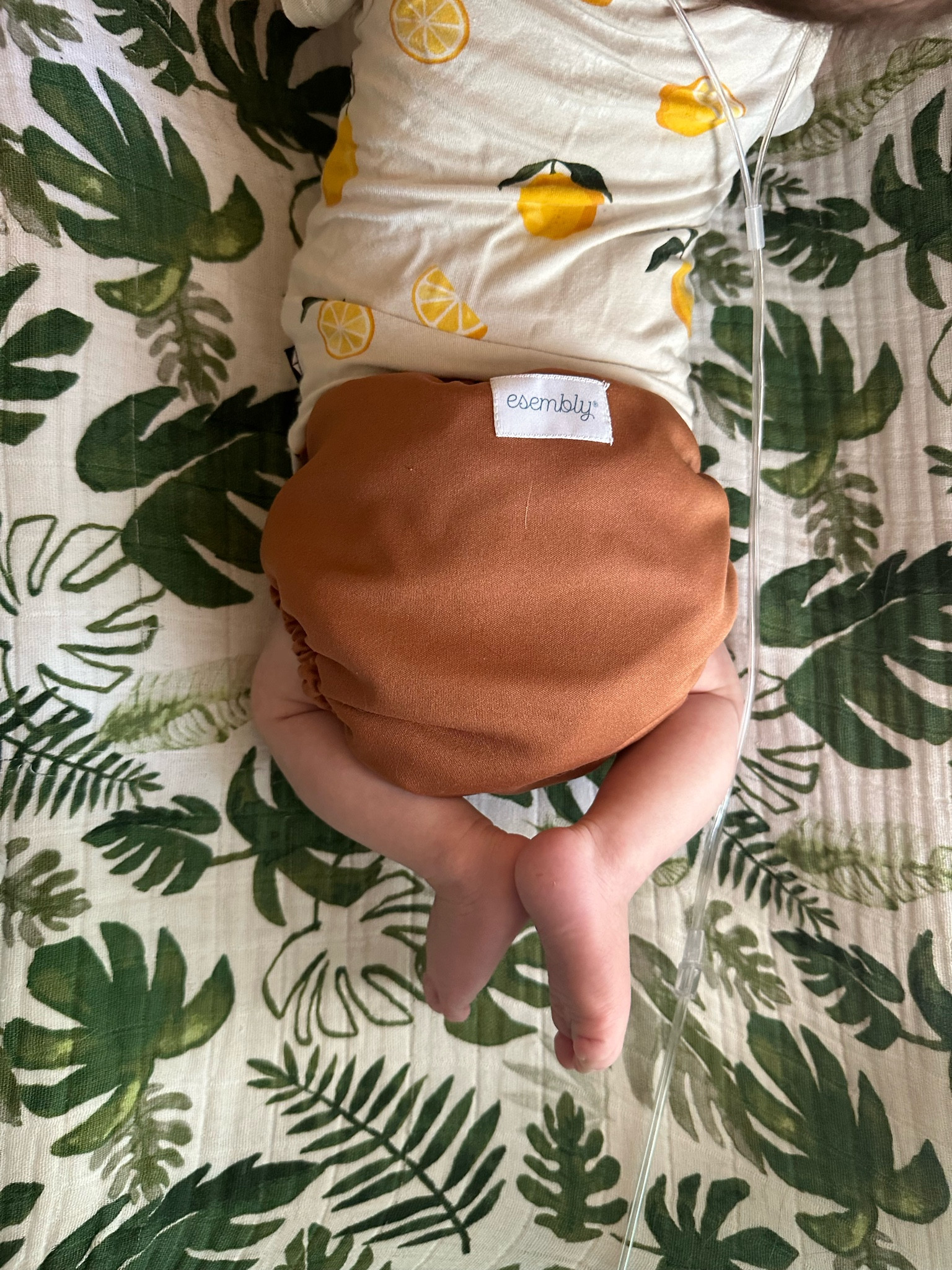 I’ve cloth diapered all three of my babies with Esembly Baby and I love it so much. It’s less expensive than disposable diapers, better for baby’s skin, and comes in so many cute colors and patterns!

Baby | Newborn Baby | Cloth Diaper | Diapering | Baby Products | Esembly Baby | Target | Target Baby | Gender Neutral | Little Unicorn | Kyte Baby | Baby Clothes | Bamboo 

#LTKKids #LTKBaby #LTKFamily