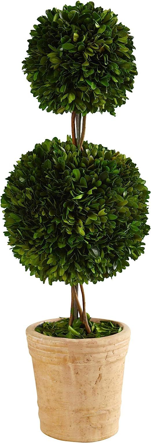 2.5ft. Preserved Boxwood Double Ball Topiary Tree in Decorative Planter (T1001) | Amazon (US)