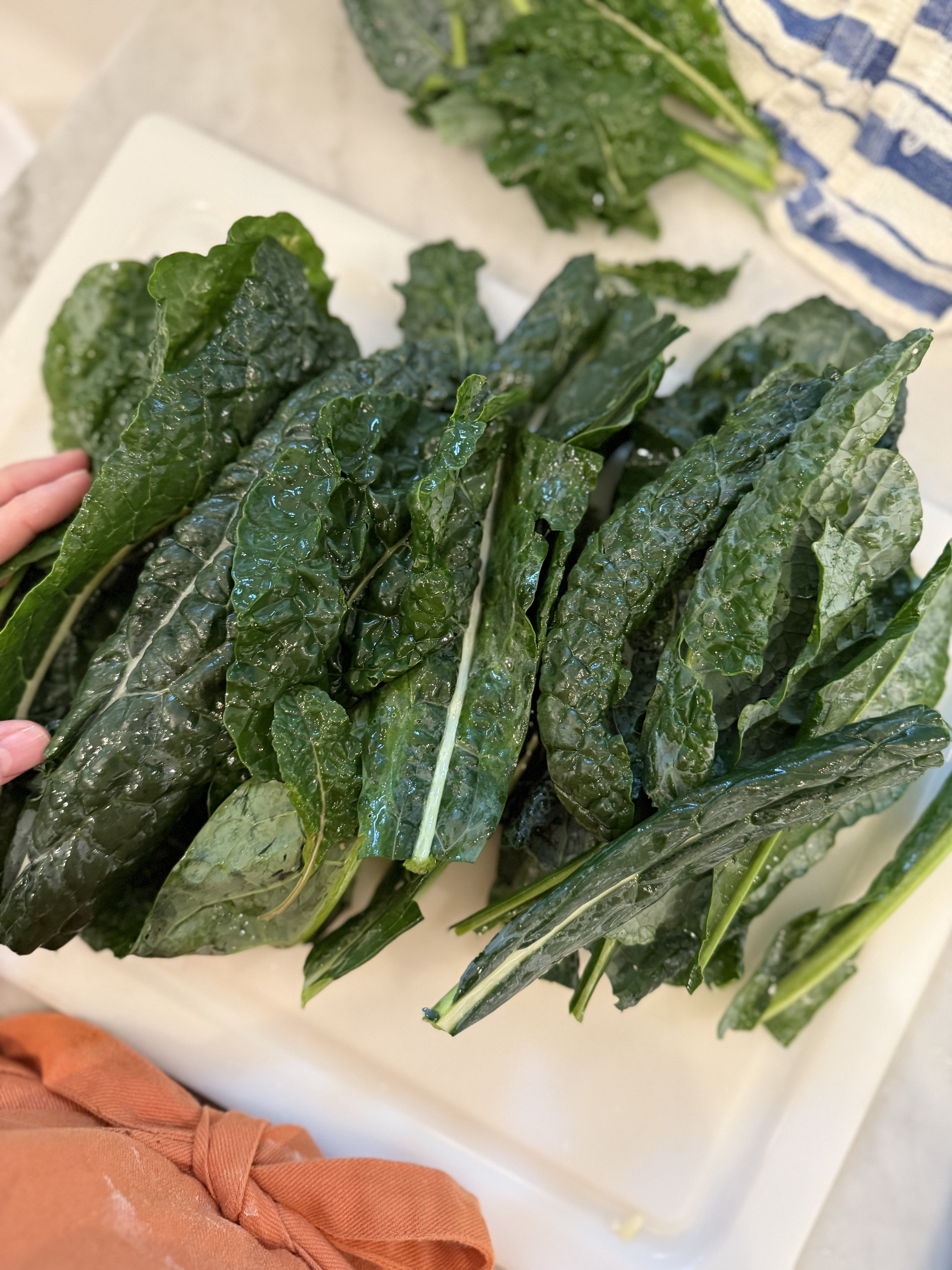 Really missing our Fall garden this year and all of this beautiful kale! Just saw my apron is on sale. I love my Williams Sonoma aprons and this color is perfect for the holiday season!  

 #LTKCyberWeek #LTKHoliday #LTKHome