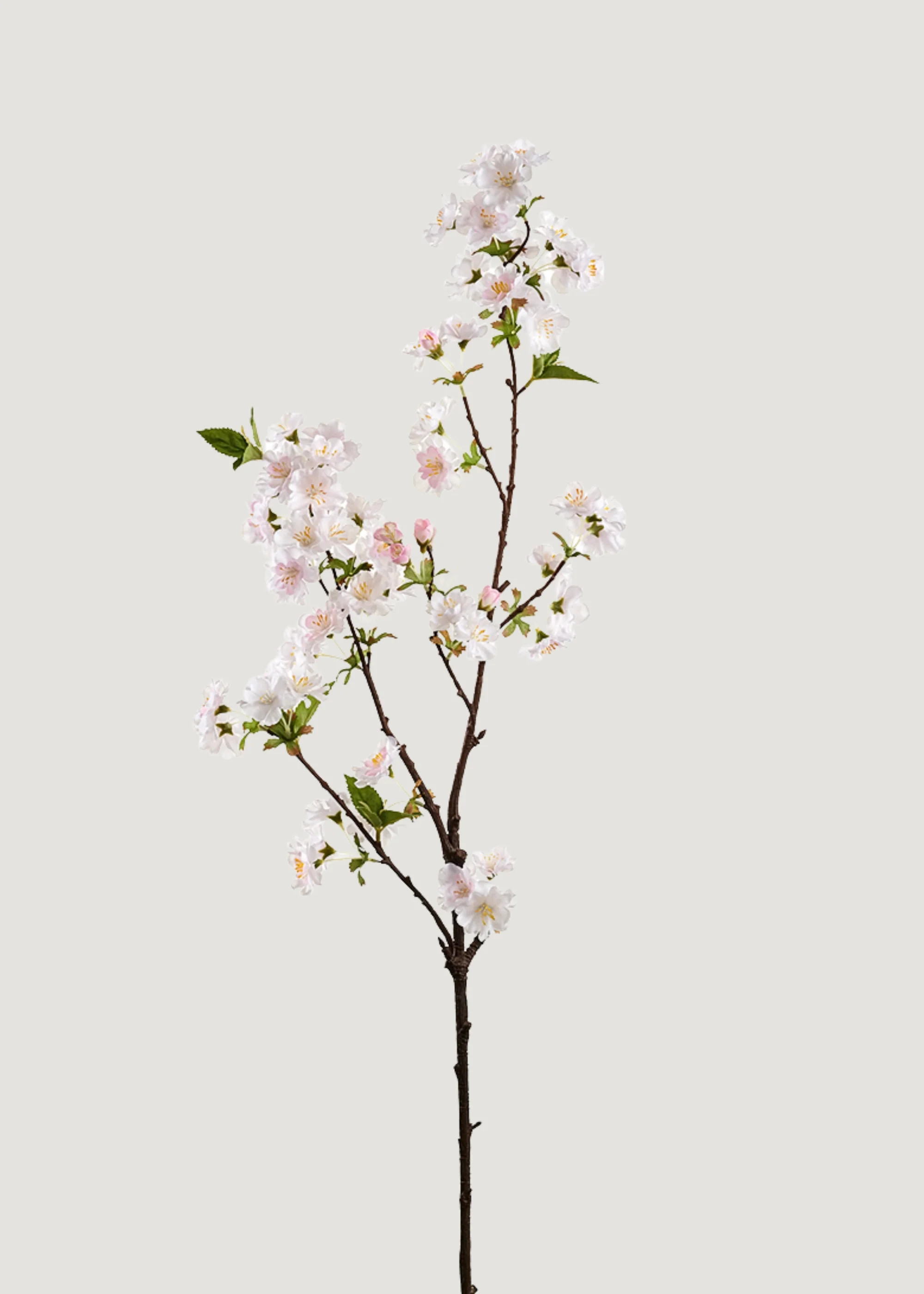 Cherry Blossom Branch in Blush | Faux Spring Flowers | Afloral | Afloral
