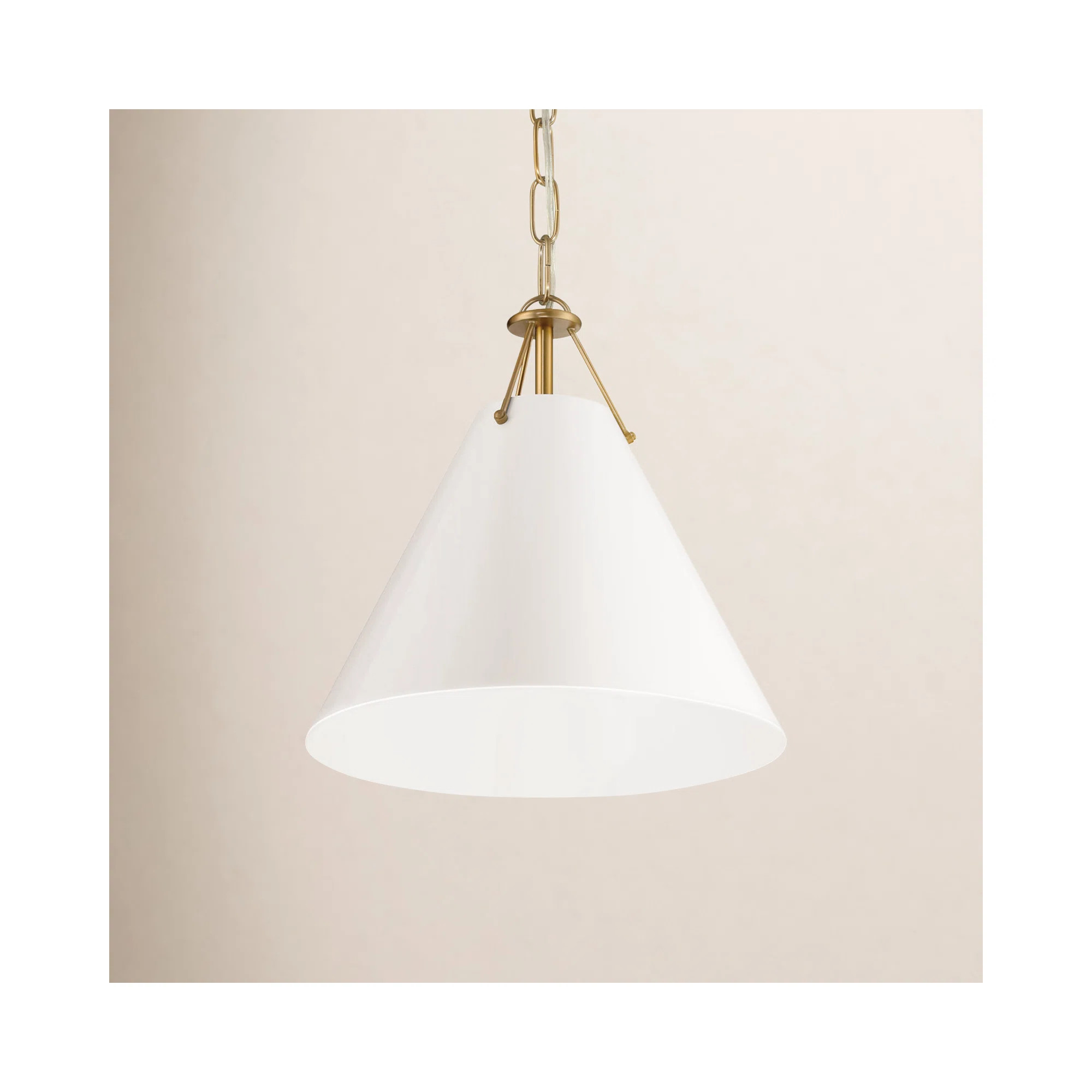 Kinston Single Light Metal Dimmable Pendant | Joss & Main