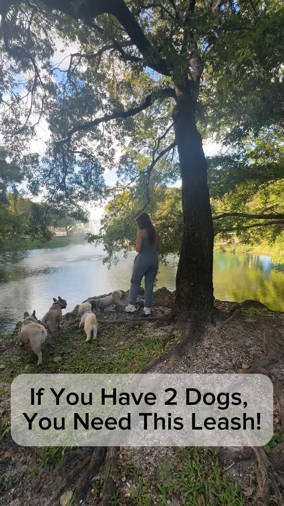 One leash for two dogs… and it doesn’t tangle!
Walking two dogs used to be a tangled mess - until I finally tried this double leash from Amazon. Makes walks so much easier and honestly more enjoyable.

#LTKFindsUnder50 #LTKPets