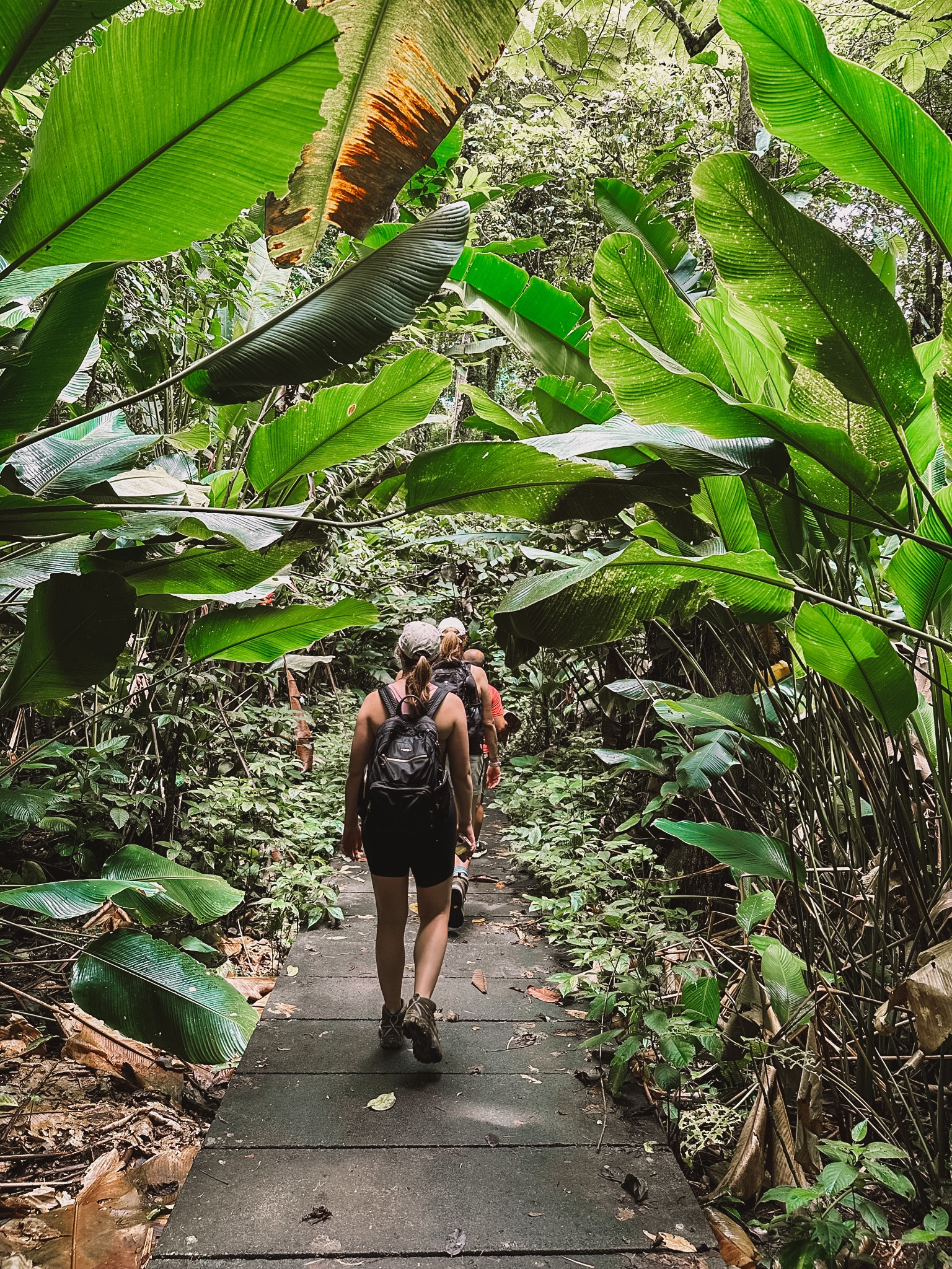 The Tumi bag that goes everywhere!! 

#LTKtravel #LTKGiftGuide #LTKstyletip