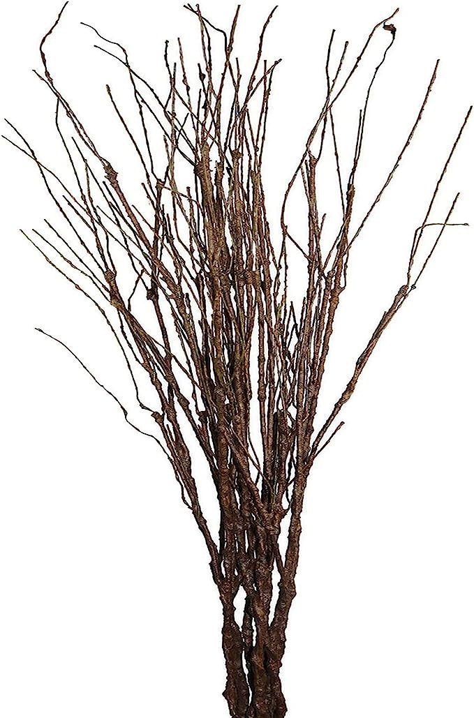 MISSWARM 10 PCS Artificial Twigs Curly Willow Branches, 30.7 Inches Lifelike Bendable Artificial ... | Amazon (US)