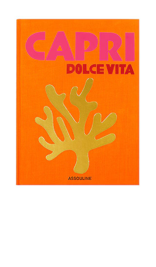 Capri Dolce Vita | Revolve Clothing (Global)