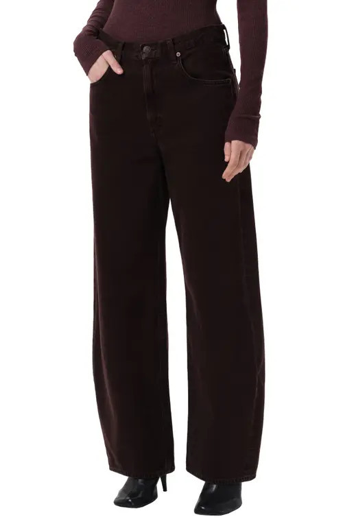 AGOLDE Low Curve Jeans in Sloe Berry at Nordstrom, Size 25 | Nordstrom